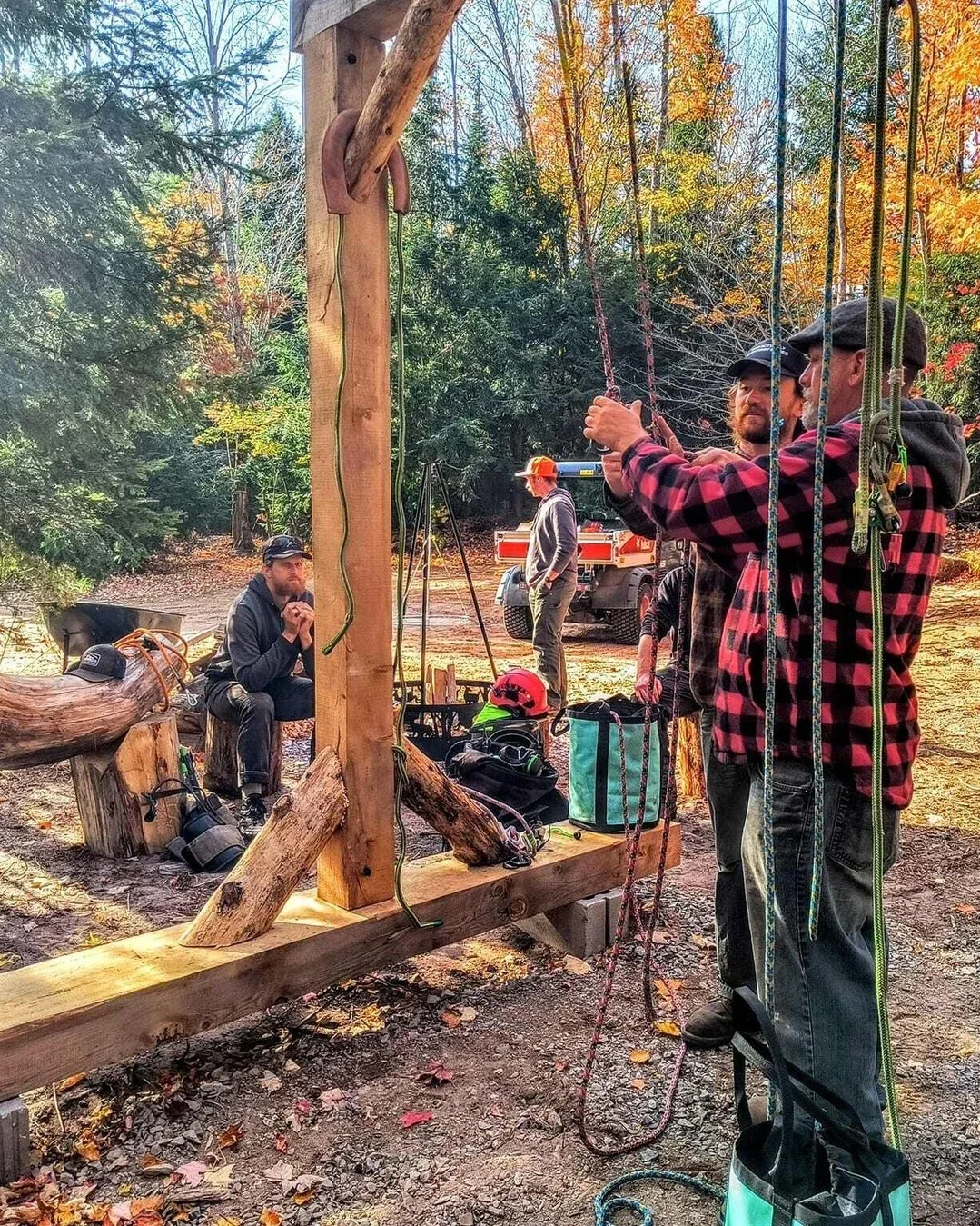 Tree climbing equipment demonstration at an RNA community festival