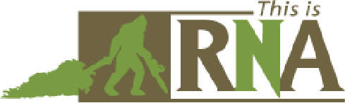 Rock N Arbor