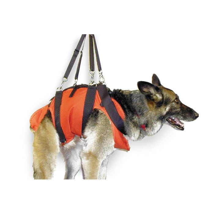 dog lift harness holding a German shepherd
