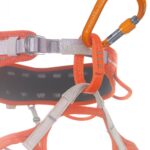 CAMP Core Lock Carabiner — view 5