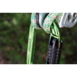 Notch Absolute Oval Carabiner — view 2