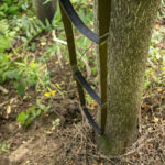 ACO Three Step Aider — view 2