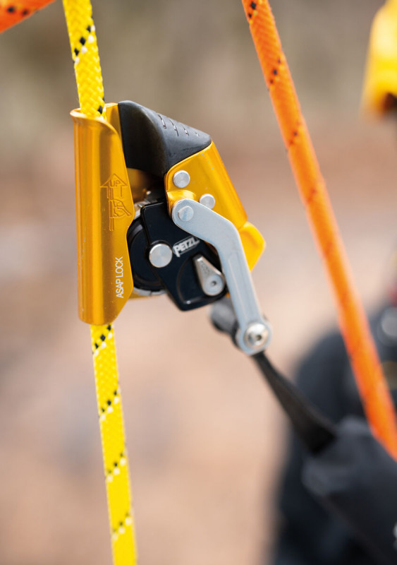 Petzl ASAP Lock — view 3