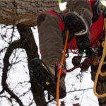 HARKEN NINJA FOOT ASCENDER — view 3