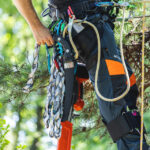 Notch Armorflex II Chainsaw Pants — view 8