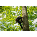 Notch Ergo Climbers — view 4