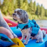 NRS CFD Dog Life Jacket — view 3