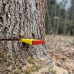 RNA Hammerhead Felling Wedge - 4 Pack — view 4