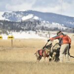RNR Dog Lift Harness — view 3