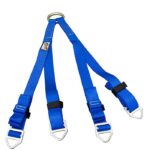 RNR Litter Bridle — view 1
