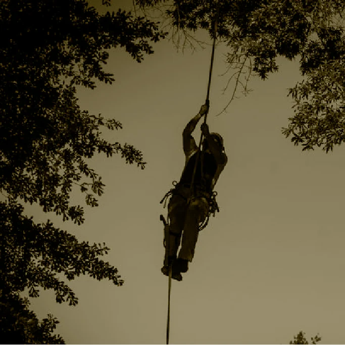 Rope