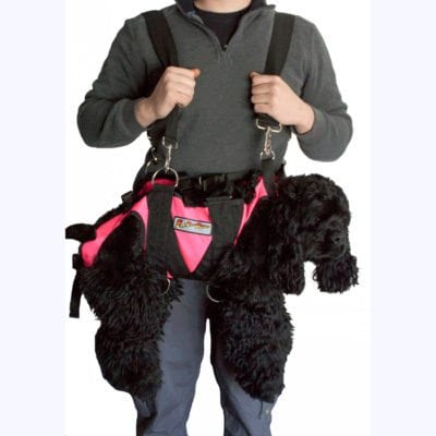 Dog Lift Harness - K9 Rescue Gear - Rock-N-Rescue
